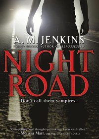 bokomslag Night Road