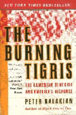 bokomslag The Burning Tigris
