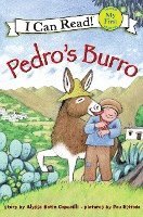 Pedro's Burro 1