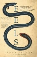 Eels 1