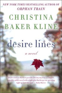 bokomslag Desire Lines