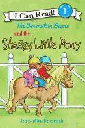 bokomslag Berenstain Bears And The Shaggy Little Pony