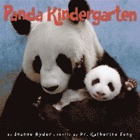 bokomslag Panda Kindergarten