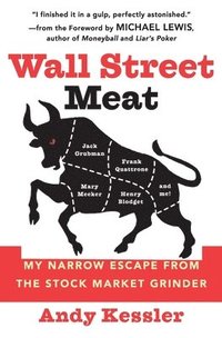bokomslag Wall Street Meat: My Narrow Escape from the Stock Market Grinder