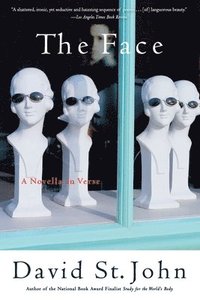 bokomslag The Face: A Novella In Verse