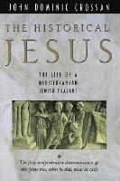 bokomslag Historical Jesus, The