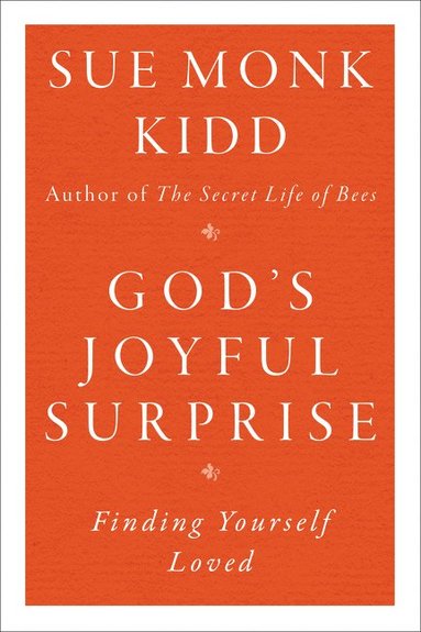 bokomslag God's Joyful Surprise