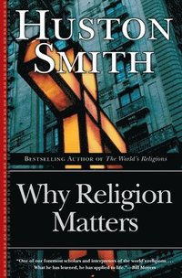 bokomslag Why Religion Matters