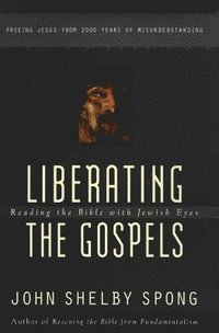 bokomslag Liberating the Gospels
