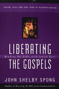 bokomslag Liberating the Gospels