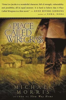 Michael Morris - A Place Called Wiregrass, Häftad