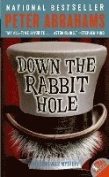 Down The Rabbit Hole 1
