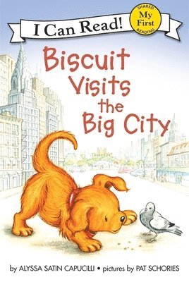 bokomslag Biscuit Visits the Big City