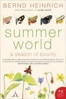 bokomslag Summer World