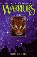 bokomslag Midnight
