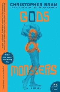 bokomslag Gods And Monsters
