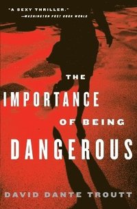bokomslag The Importance Of Being Dangerous