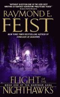 bokomslag Flight of the Nighthawks: Book One of the Darkwar Saga