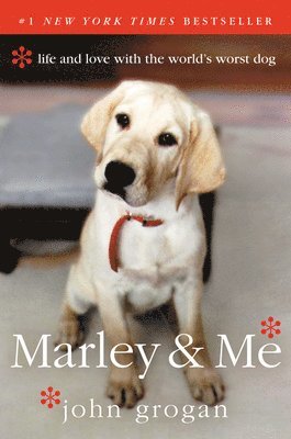 Marley & Me 1