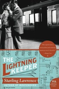 bokomslag The Lightning Keeper