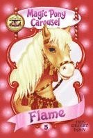 bokomslag Flame the Desert Pony