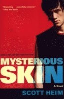 Scott Heim - Mysterious Skin, Häftad