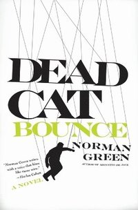 bokomslag Dead Cat Bounce