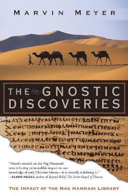 bokomslag The Gnostic Discoveries: The Impact Of The Nag Hammadi Library