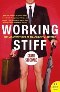 bokomslag Working Stiff