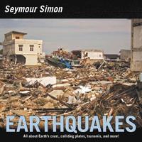 bokomslag Earthquakes