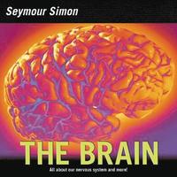 bokomslag Brain