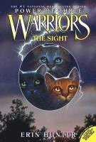bokomslag Warriors: Power of Three #1: The Sight