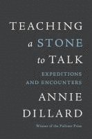 bokomslag Teaching a Stone to Talk