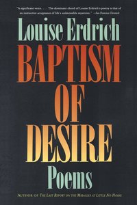 bokomslag Baptism of Desire: Poems
