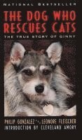 bokomslag The Dog Who Rescues Cats