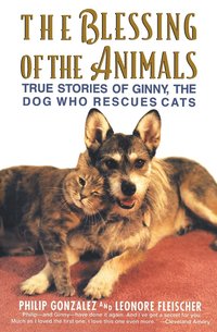 bokomslag The Blessing of the Animals: True Stories of Ginny, the Dog Who Rescues Cats