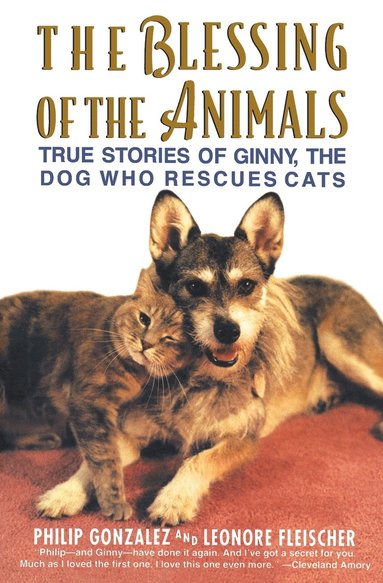 bokomslag The Blessing of the Animals: True Stories of Ginny, the Dog Who Rescues Cats