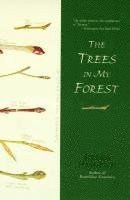 Bernd Heinrich - The Trees in My Forest, Häftad