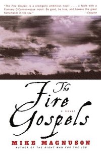 bokomslag The Fire Gospels