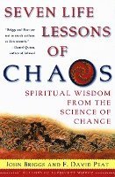 bokomslag Seven Life Lessons Of Chaos