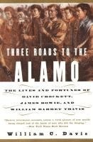 bokomslag Three Roads To The Alamo