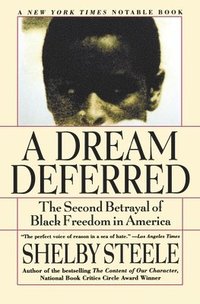 bokomslag A Dream Deferred
