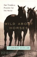 bokomslag Wild about Horses: Our Timeless Passion for the Horse