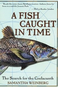 bokomslag Fish Caught In Time