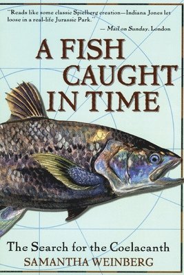 Fish Caught In Time 1