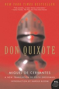 bokomslag Don Quixote