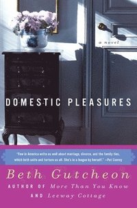 bokomslag Domestic Pleasures