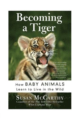 Susan McCarthy - Becoming a Tiger: How Baby Animals Learn to Live in the Wild, Häftad