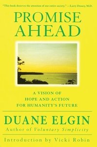 bokomslag Promise Ahead: A Vision of Hope and Action for Humanity's Future