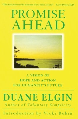 bokomslag Promise Ahead: A Vision of Hope and Action for Humanity's Future